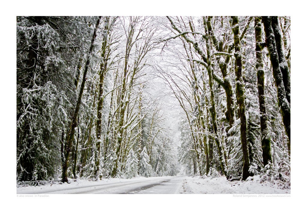 3050-snowsinparadise