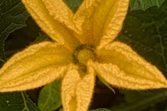 IMG_2390_DxO